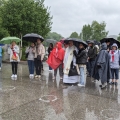 Pélerinage à Lourdes du 6 au 13 Mai 2024