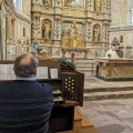 Pélerinage à Lourdes du 6 au 13 Mai 2024