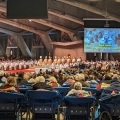 Pélerinage à Lourdes du 6 au 13 Mai 2024