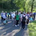 Pélerinage à Lourdes du 6 au 13 Mai 2024